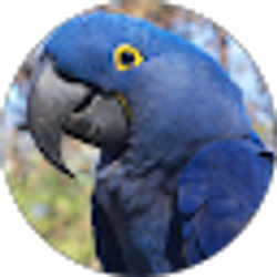 Profile photo of Jenifer Marquardt