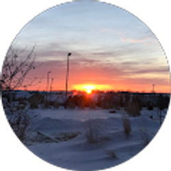 Profile photo of Noah Wilk