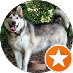 Profile photo of Kimberly Toth