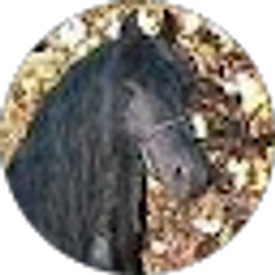 Profile photo of Lisa Padgett