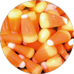 Profile photo of Susie Smith