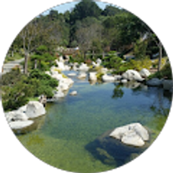 Profile photo of Christine Pressley