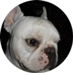 Profile photo of Joan Knurek