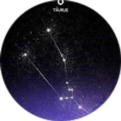 Profile photo of Christopher Shannon