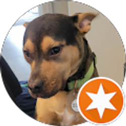 Profile photo of Christie McCarthy