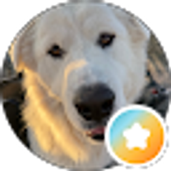 Profile photo of Judy Harnish