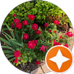 Profile photo of hicham sadik