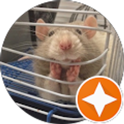 Profile photo of Abbey Stanley