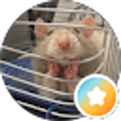 Profile photo of Abbey Stanley