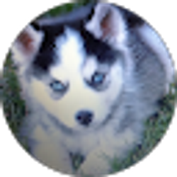 Profile photo of nickthe warior55