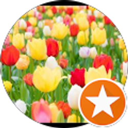 Profile photo of Nkechi