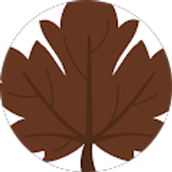 Profile photo of R R