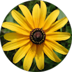 Profile photo of Danielle Jordan