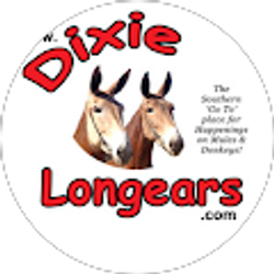 Profile photo of Cindy for DIXIE LONGEARS