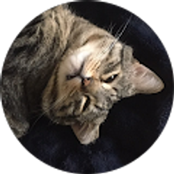 Profile photo of Chad Elliot