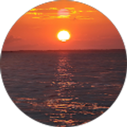 Profile photo of J Cashmoney