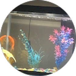 Profile photo of Jenn