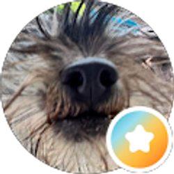 Profile photo of Kim Carson