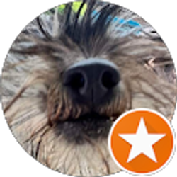 Profile photo of Kim Carson