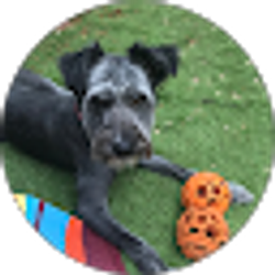 Profile photo of Shannon C
