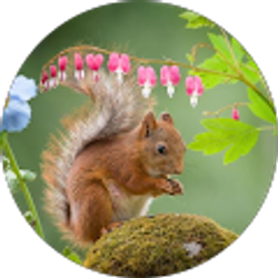 Profile photo of Wanda Wissler