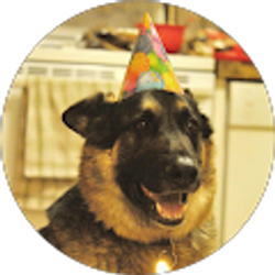 Profile photo of Kevin Robinson