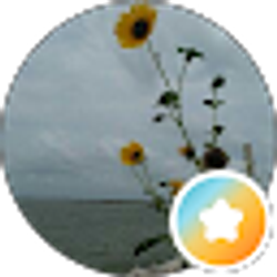 Profile photo of flor Hernandez