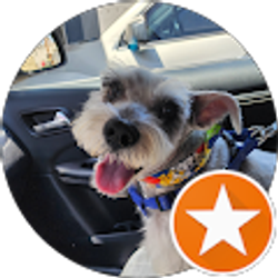 Profile photo of Jorge Castillo