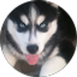 Profile photo of Brian Frias