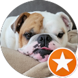 Profile photo of Hope Marra