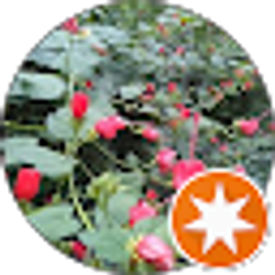 Profile photo of Barbara Smith