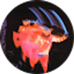 Profile photo of John Warlock