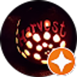 Profile photo of Bumble Bri