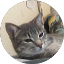 Profile photo of Jason Senegal