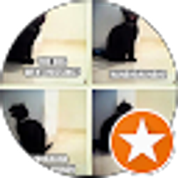 Profile photo of Julie Campbell