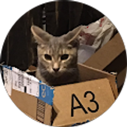 Profile photo of Anthony