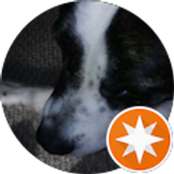 Profile photo of R Heard