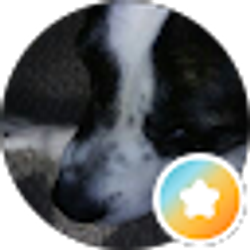 Profile photo of R Heard