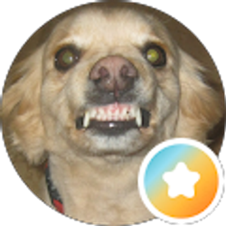 Profile photo of Jodi W