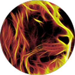 Profile photo of kadin richard