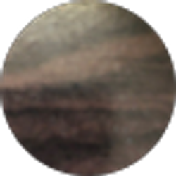 Profile photo of *