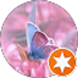 Profile photo of P. Thomas, MSE, BA