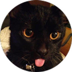 Profile photo of Kathy K