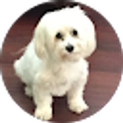 Profile photo of Billy Grimble