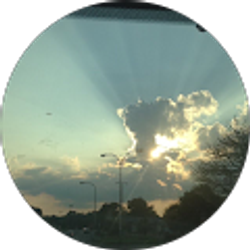 Profile photo of Lisa Krznaric