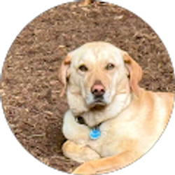 Profile photo of Tanya