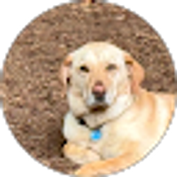 Profile photo of Tanya