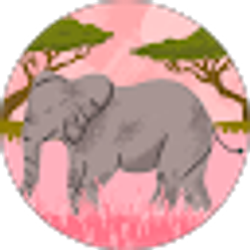 Profile photo of Bekah Poppinga