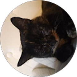 Profile photo of Brandi Enriquez