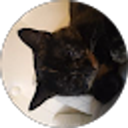 Profile photo of Brandi Enriquez